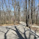 Martin State Forest Campground