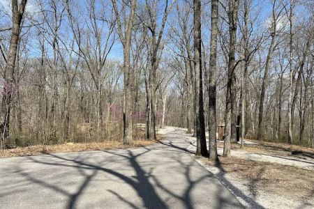 Martin State Forest Campground