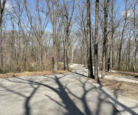 Martin State Forest Campground