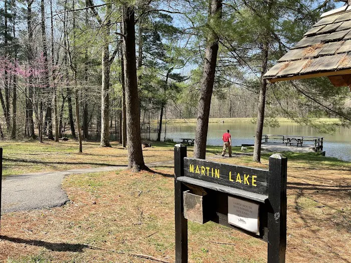 Martin State Forest Campground 3