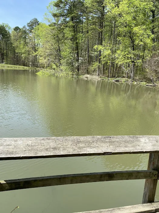 Martin State Forest Campground 4