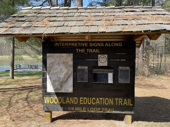 Martin State Forest Campground 8