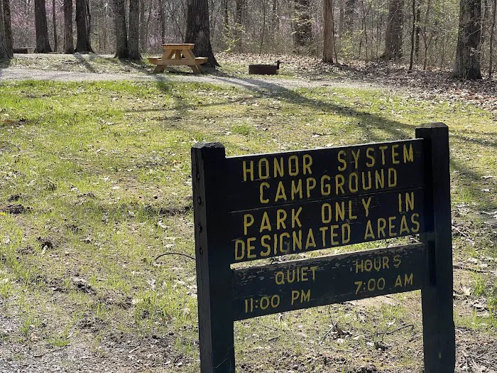 Martin State Forest Campground 7