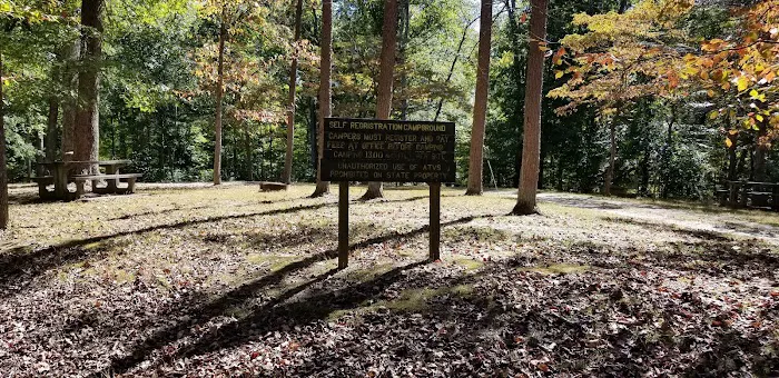 Pike State Forest Campground 3