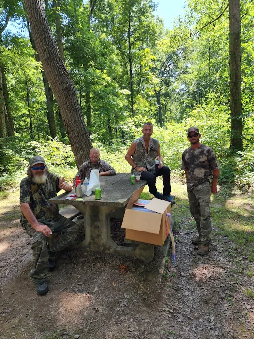 Pike State Forest Campground 1