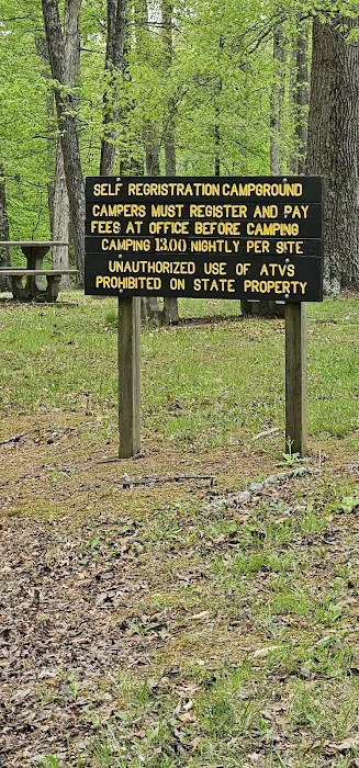 Pike State Forest Campground 2