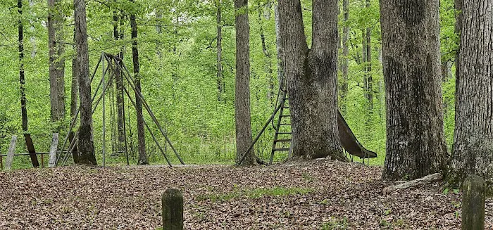 Pike State Forest Campground 5