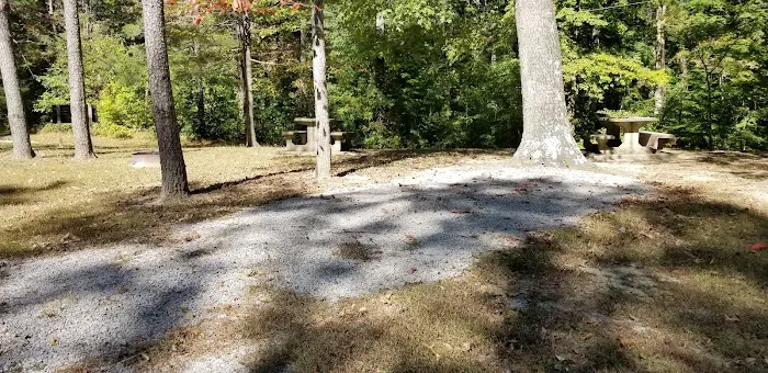 Pike State Forest Campground 4