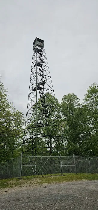 Pike State Forest Campground 10
