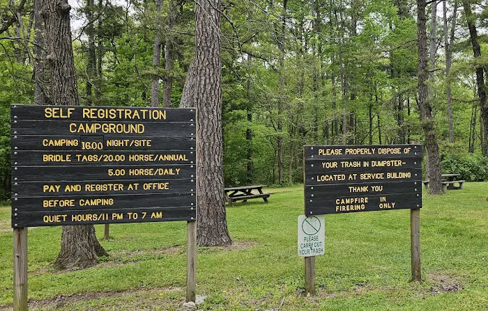 Pike State Forest Campground 8