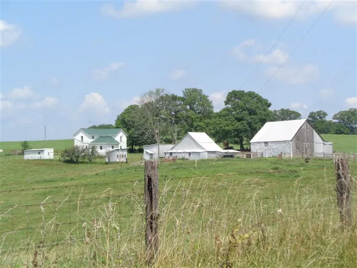 Hill Springs Privative Campground 6