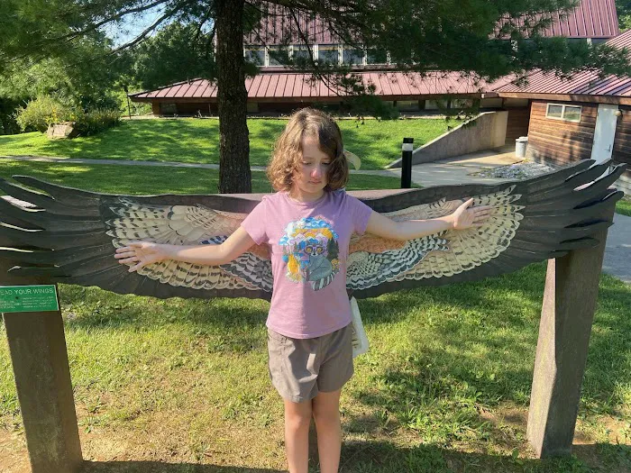 Patoka Lake Fisherman's Campground 6