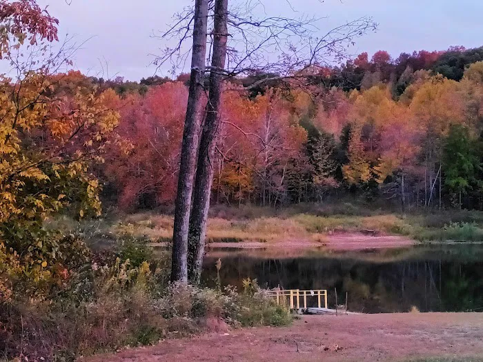 Patoka Lake Fisherman's Campground 9