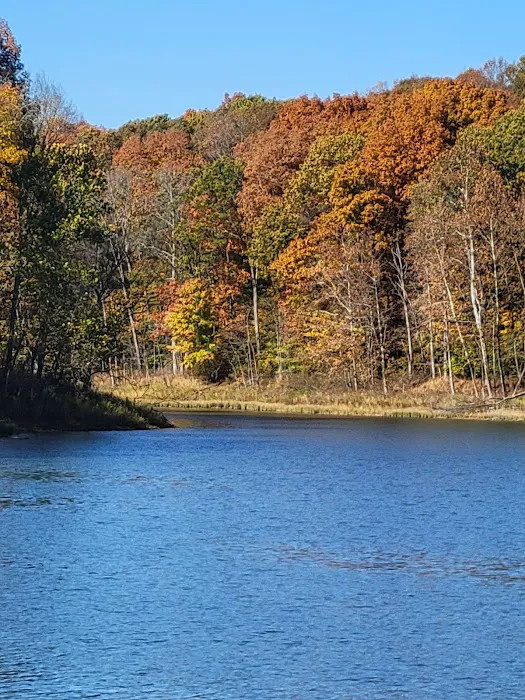 Patoka Lake Modern Campground 1