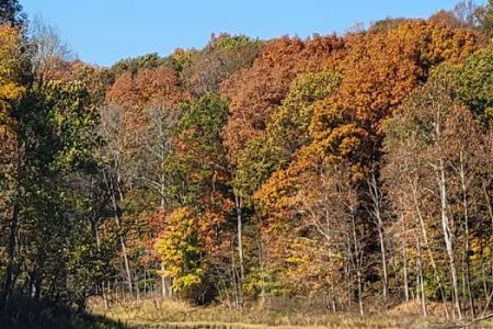 Patoka Lake Modern Campground