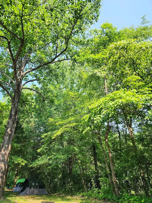 Patoka Lake Modern Campground 7
