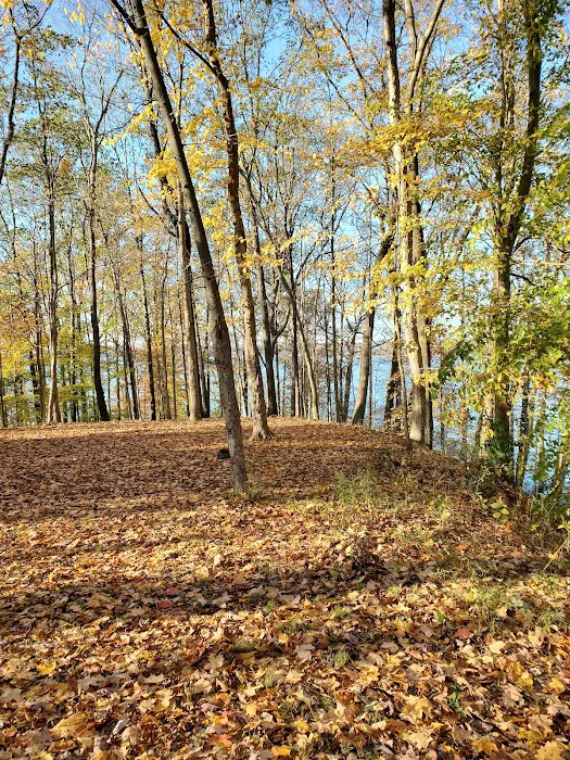 Patoka Lake 10
