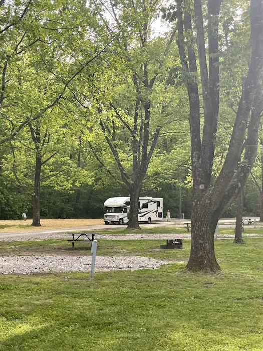Campground 6