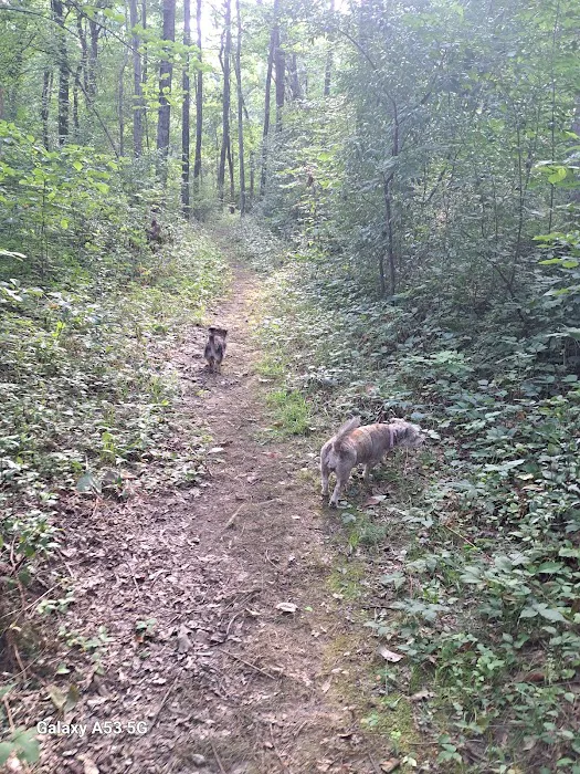 Burrell Woods Bicentennial Park 10