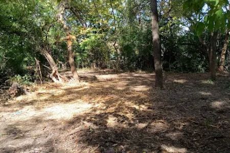 The Bear Den