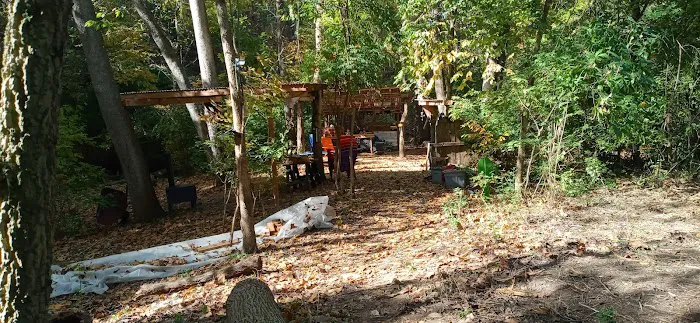 The Bear Den 5