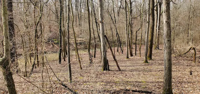 Camp Warren Levis 4