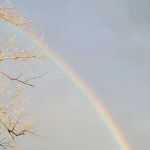 MGM Lakeside Campground