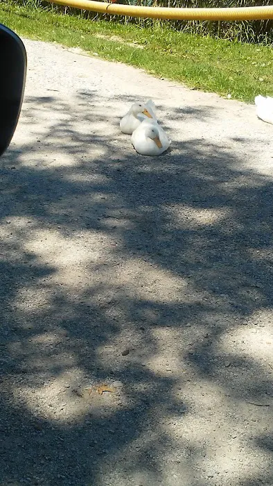 MGM Lakeside Campground 9