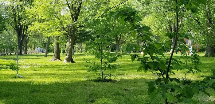 Walnut Grove Campground 7