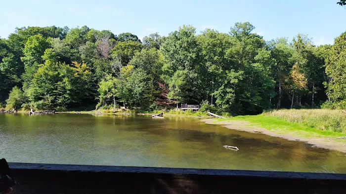 Raccoon Ridge Campground 6