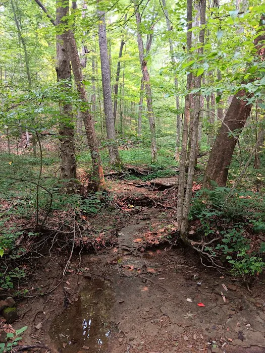 Raccoon Ridge Campground 5