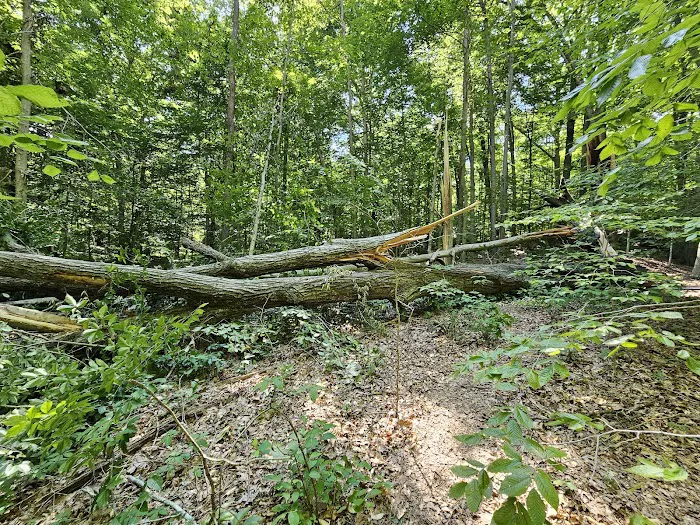 Raccoon Ridge Campground 9