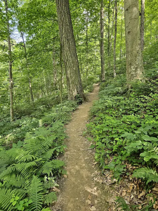 Raccoon Ridge Campground 8