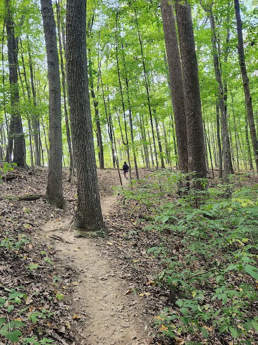 Taylor Ridge Campground 1