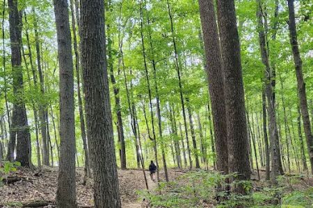 Taylor Ridge Campground