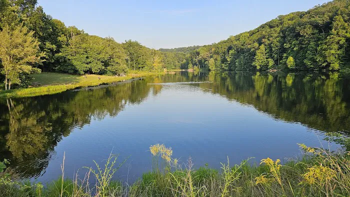 Taylor Ridge Campground 7
