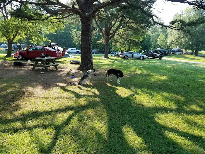 Paynetown Campground 4