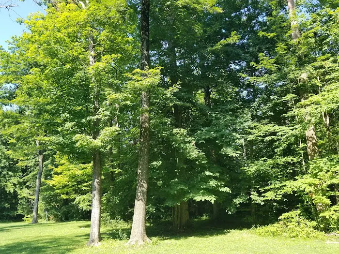 All My Family & Friends Campground 10