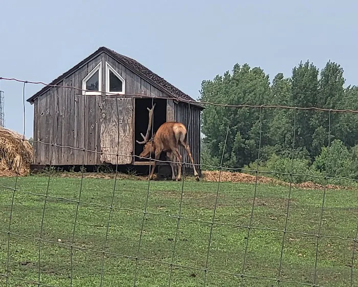 River Ranch Camping 2
