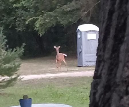 Deer Run Campground LLC