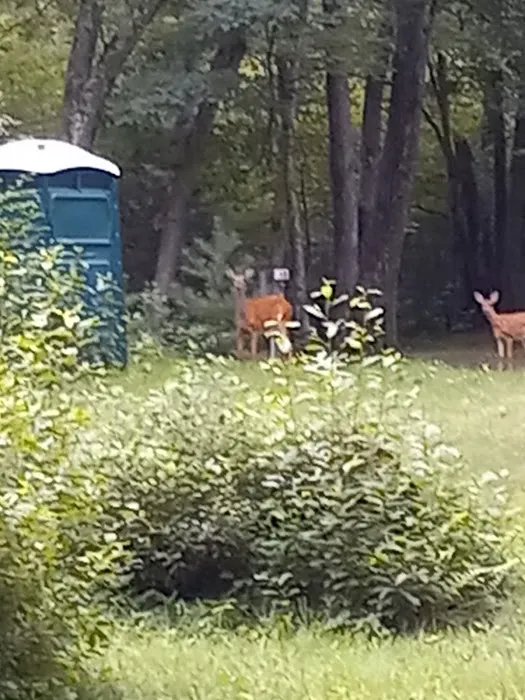 Deer Run Campground LLC 6