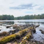 McMullen Memorial County Park