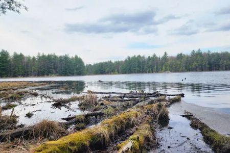 McMullen Memorial County Park