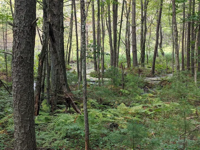 McMullen Memorial County Park 2