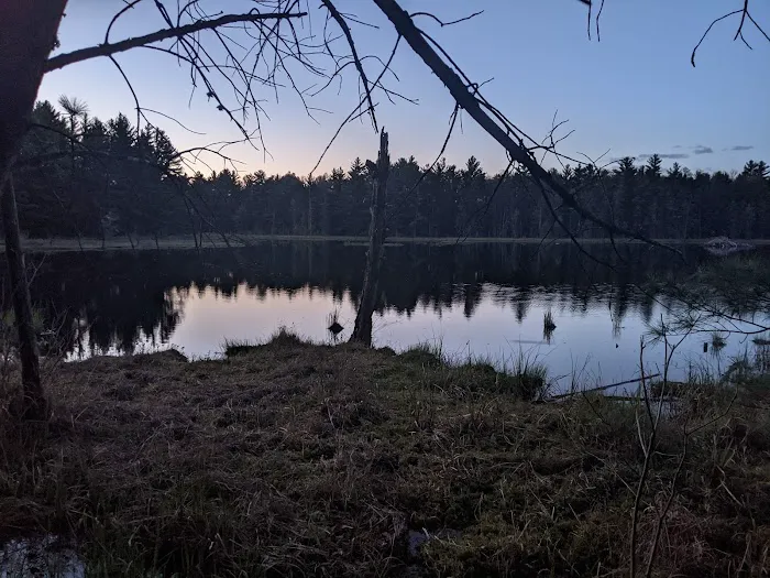 McMullen Memorial County Park 9