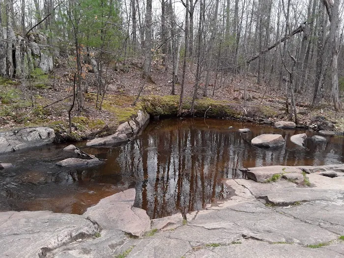 Chute Pond Park & Campground 8