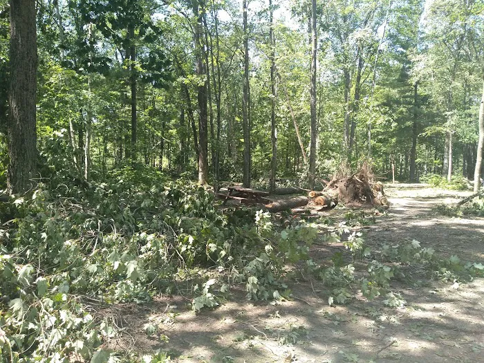 Chute Pond County Park Campground Picture 3