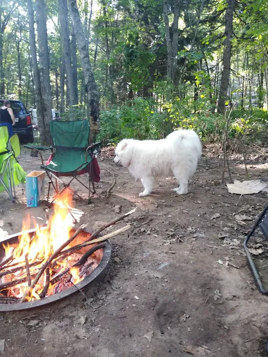 Chute Pond County Park Campground Picture 7