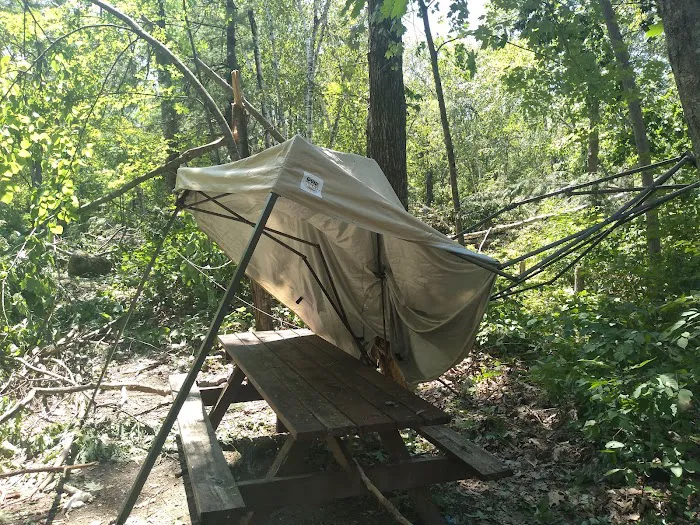 Chute Pond County Park Campground Picture 4