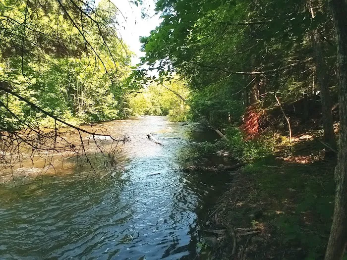 Bagley Rapids Campground 2